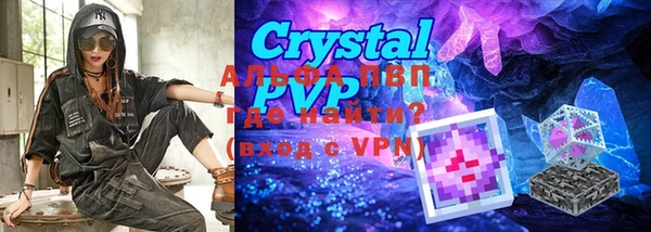 стаф Баксан