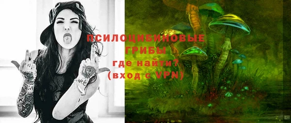 стаф Баксан