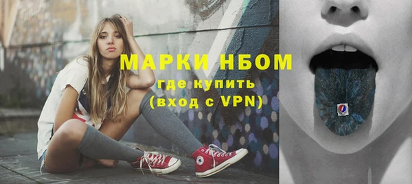 стаф Баксан